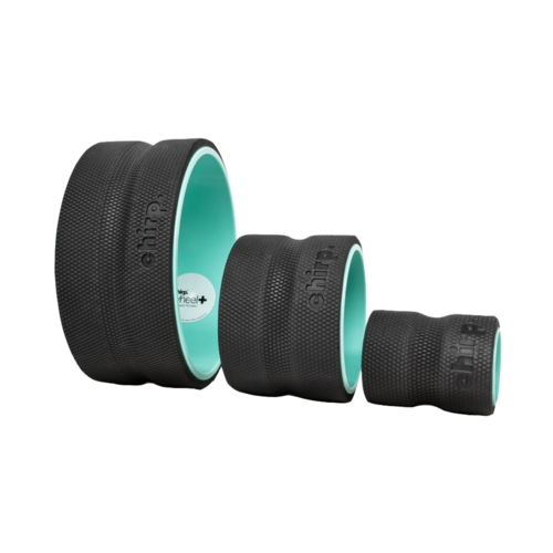 Chirp Wheel+ 3-Pack - 3P-PW-PLUS-RTL.png